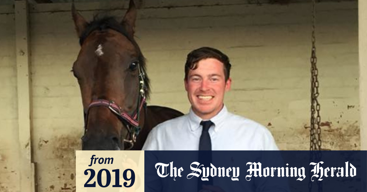 Queensland horse trainer suspended after animal abuse allegations